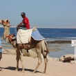 Egypt  - Sharm el Sheik - L�to 2008