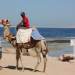Egypt  - Sharm el Sheik - Lto 2008