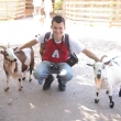 Anglie, Paington zoo - L�to 2007
