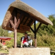 Anglie, Paington zoo - L�to 2007