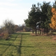 Podzimn radovnky